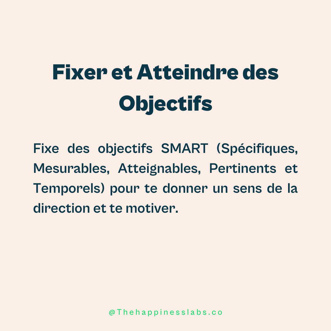 Les objectifs