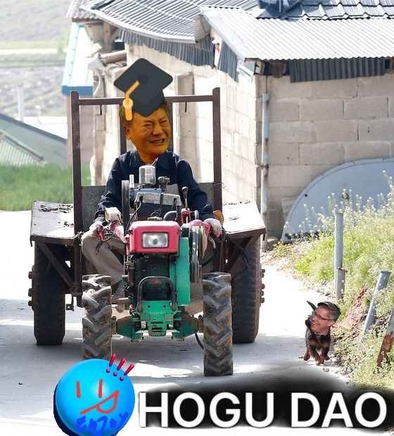 Enjoy HoGu9