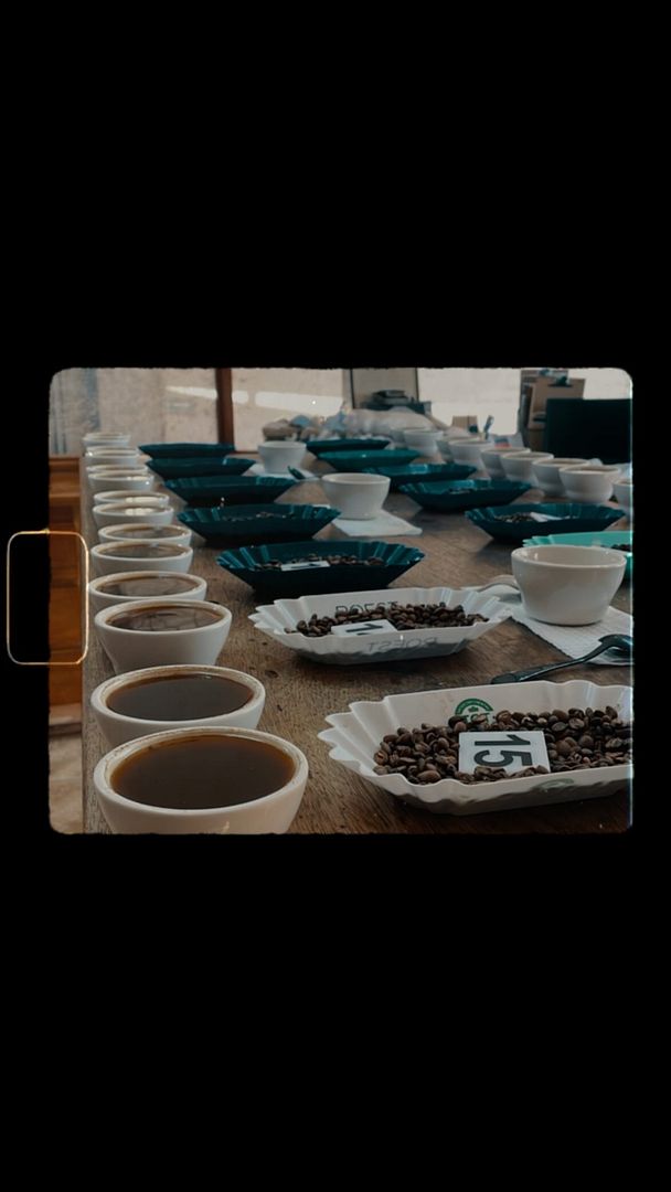 Cupping coffee and happy Friday!!🥰