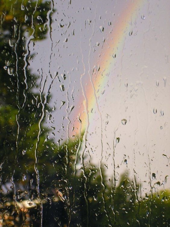 Rainbow in the Rain