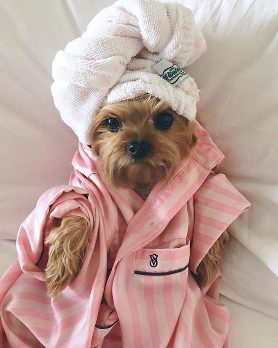 Spa day