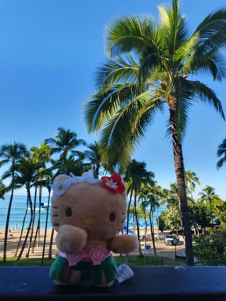 Aloha