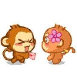 monkey love