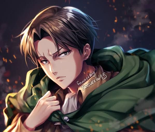 Levi