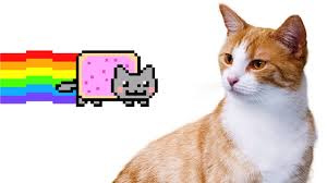 Nyan cat(s)