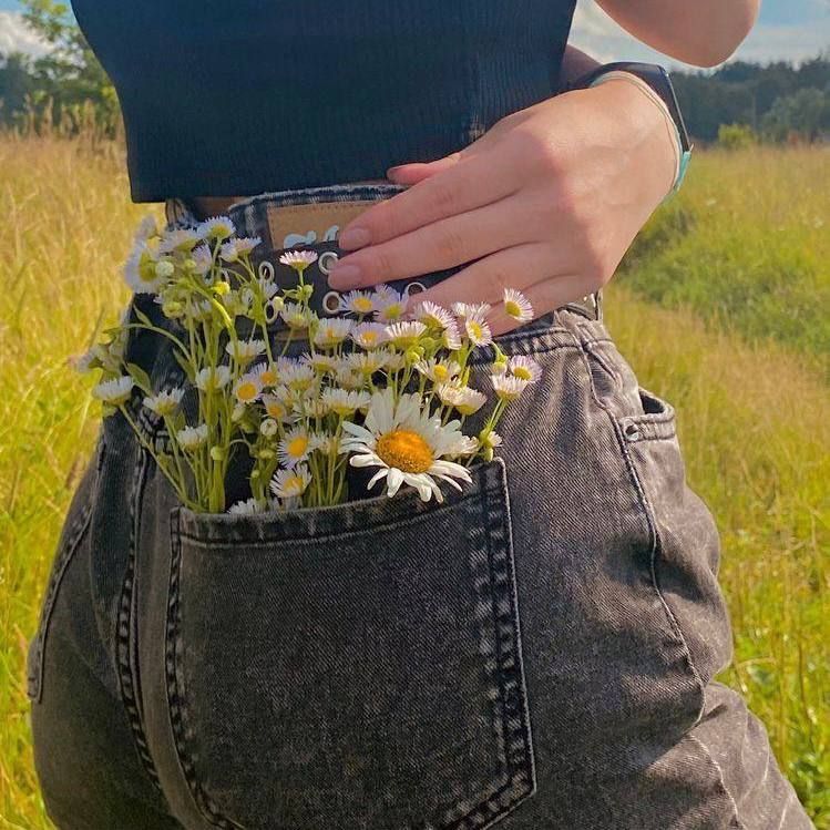 daisies in a pocket