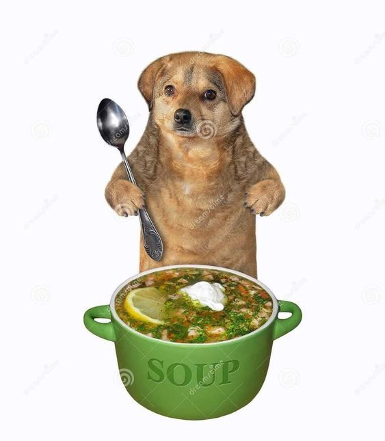 soup doggo