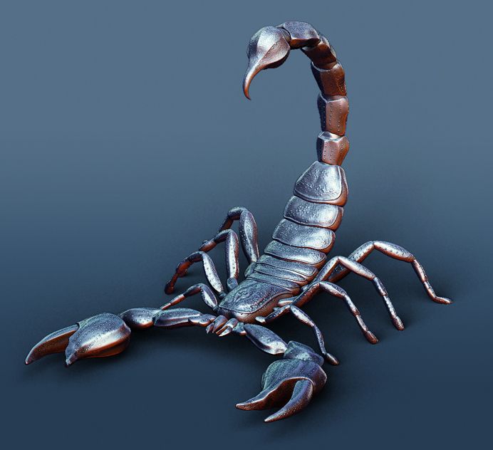 scorpion