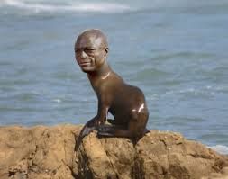 Seal