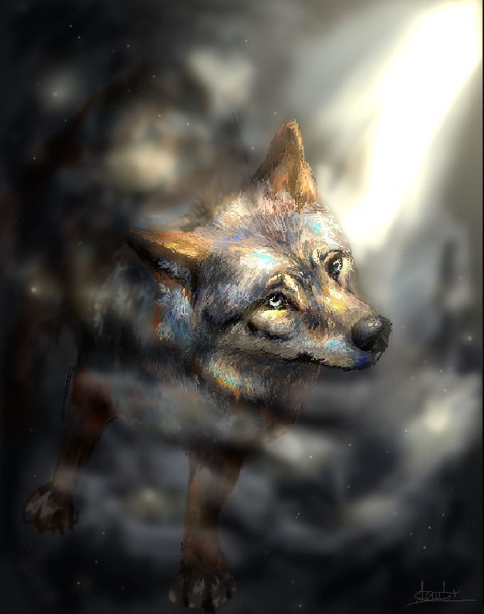 The wolf