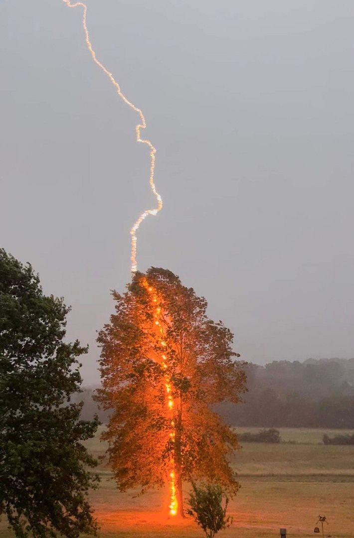 the power of nature in action