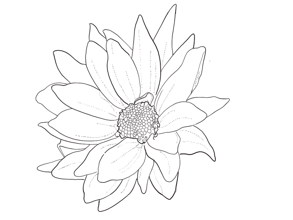 Tattoo Stencil 4 - Flower