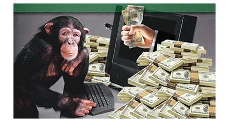 Millionaire monkey