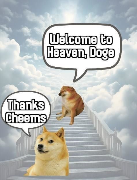 RIP DOGE