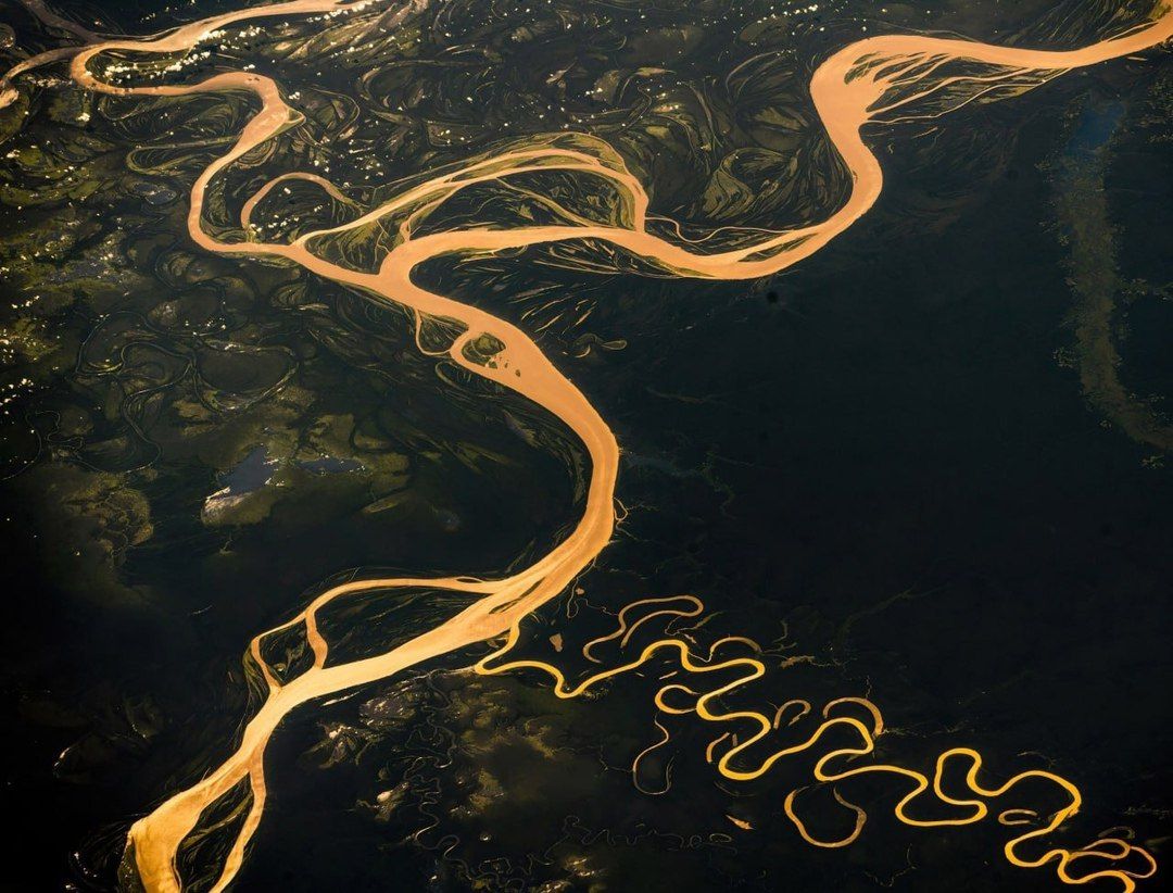 The Amazon and its tributaries