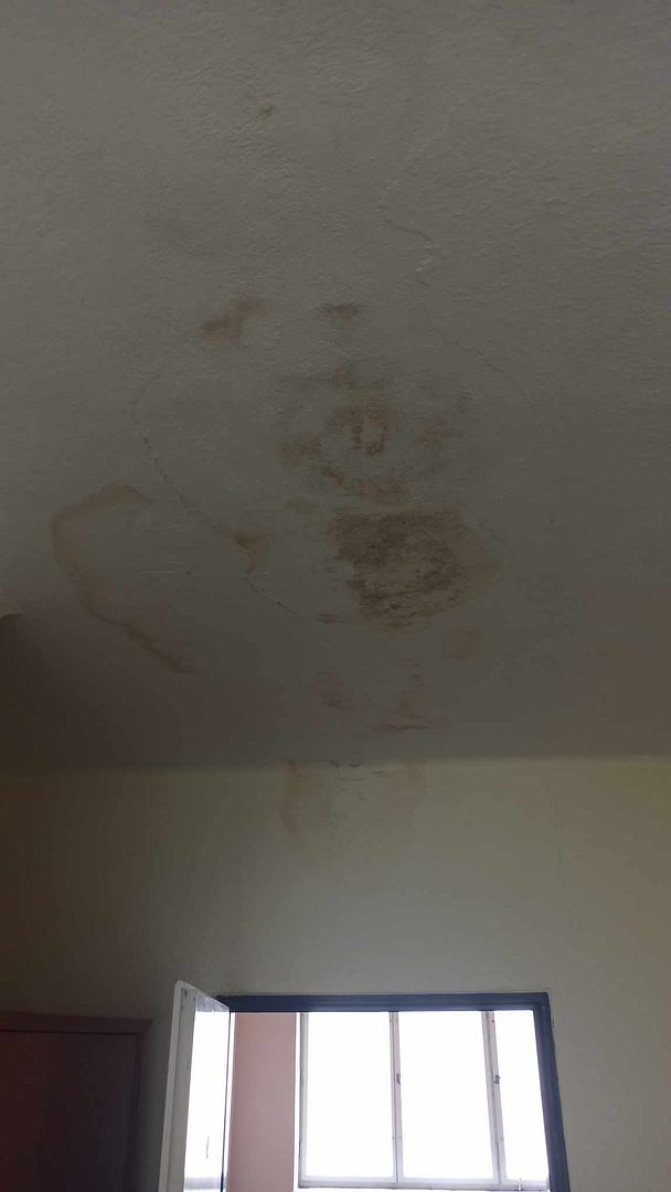 CeilinG MoLd