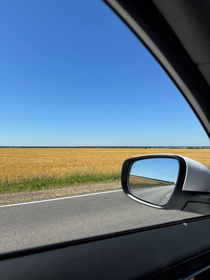 field and sky