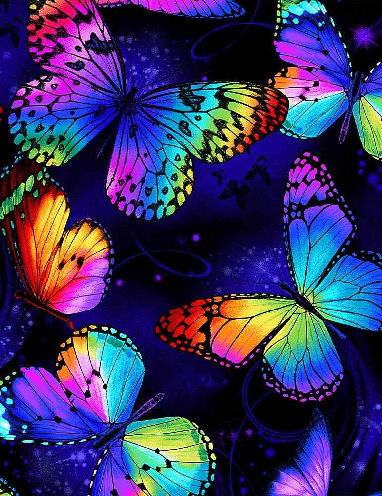 butterflys