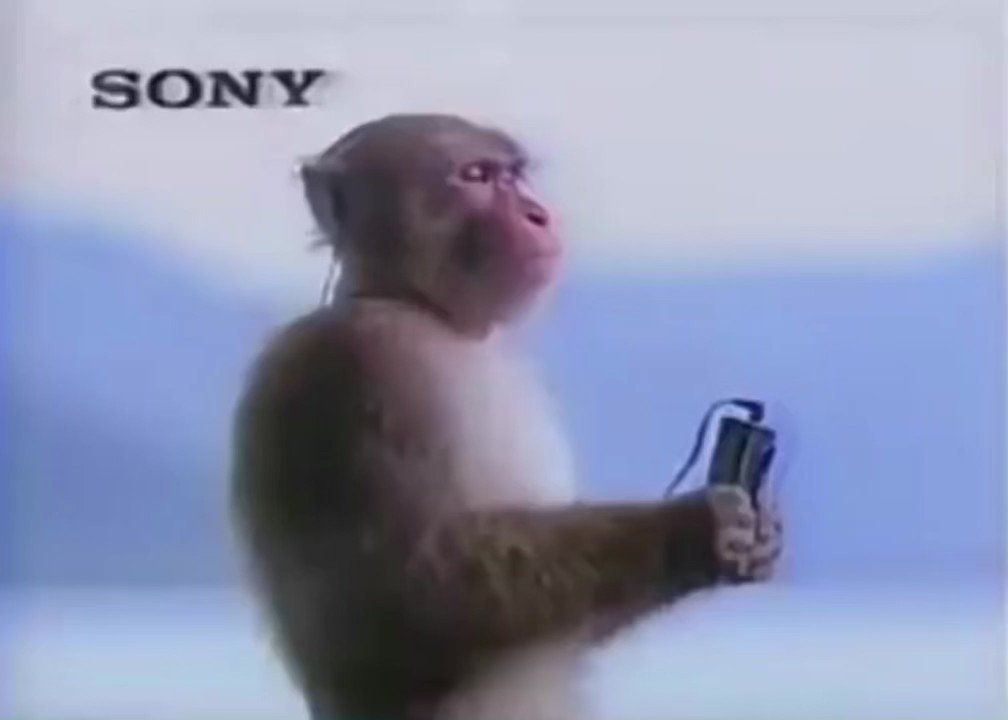 SONY Monkey