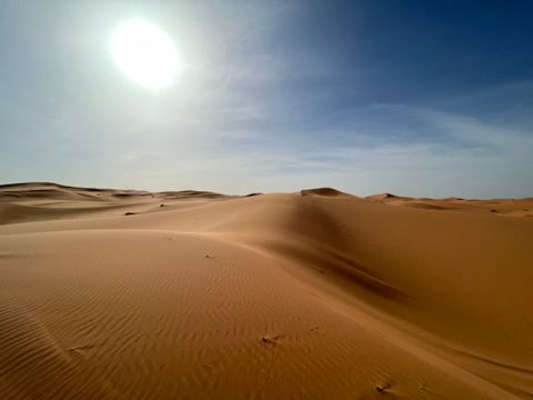 sahara desert