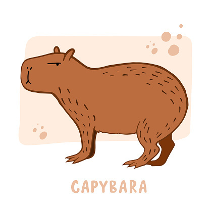 capybara