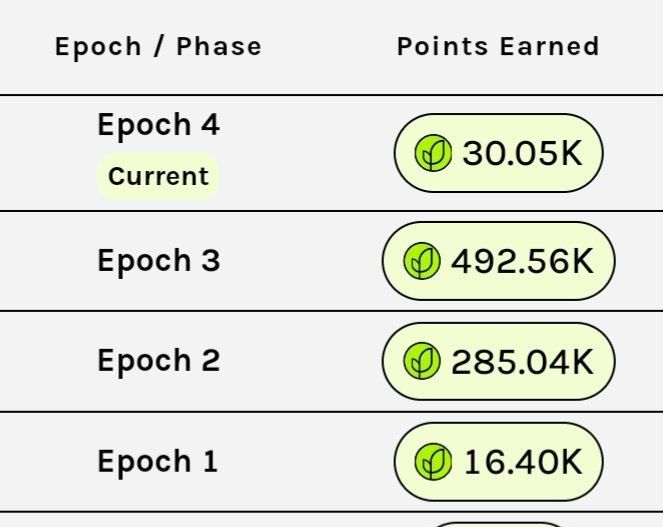 Epoch 4 잔디농사 2일차