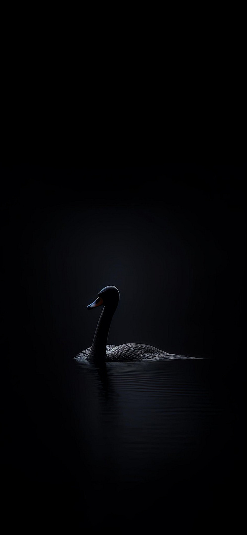 A Dark Flamingo Wallpaper