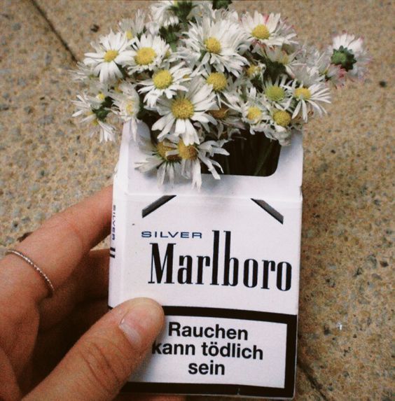 marlboro