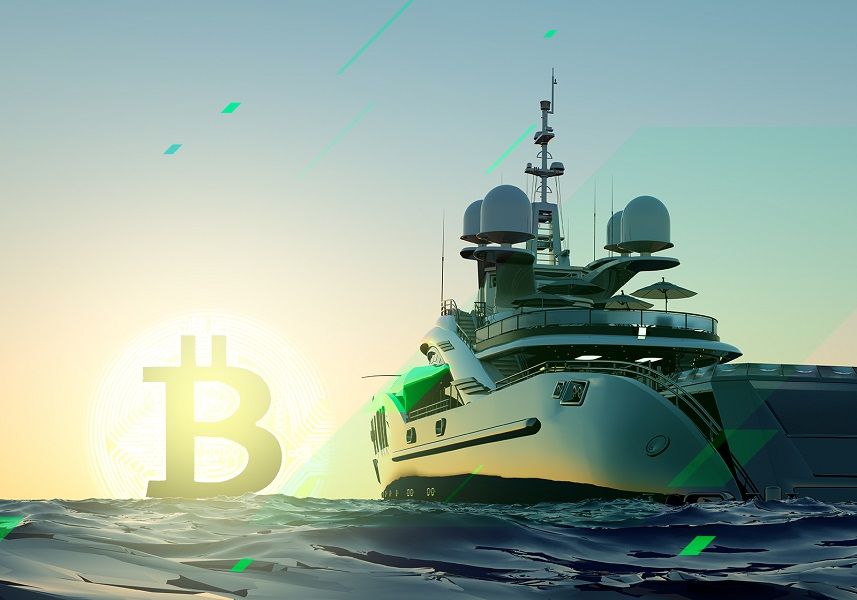 Bitcoin Boat