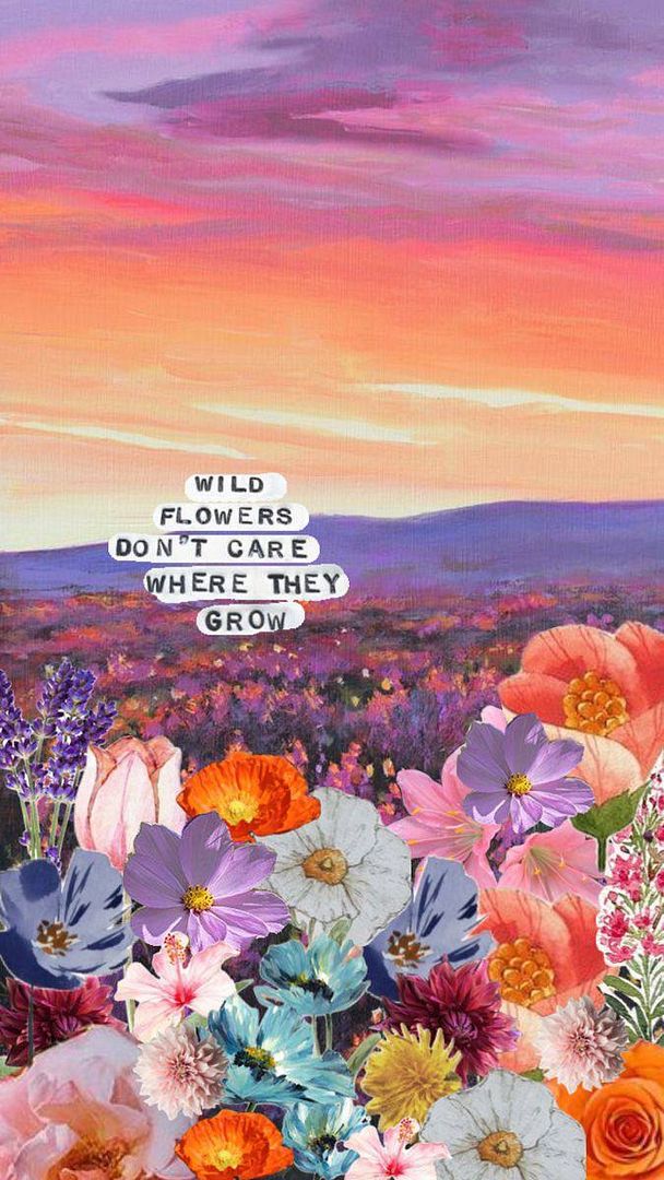 wild flowers