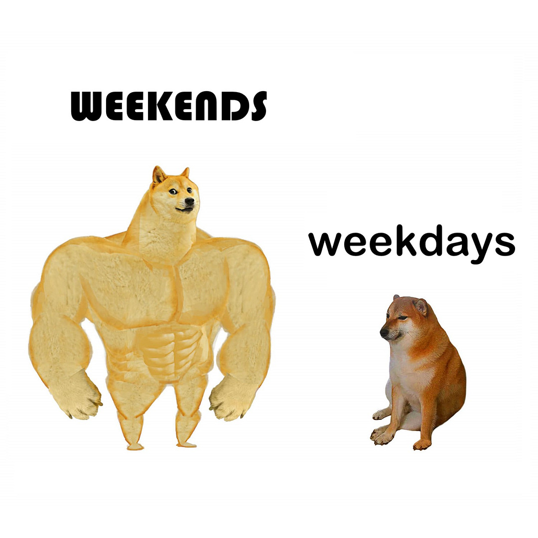 $ENJOY Swole Doge vs. Cheems