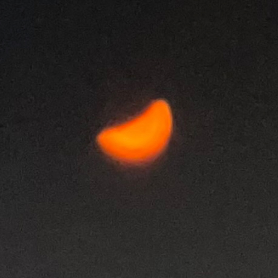 ECLIPSED TANGERINE