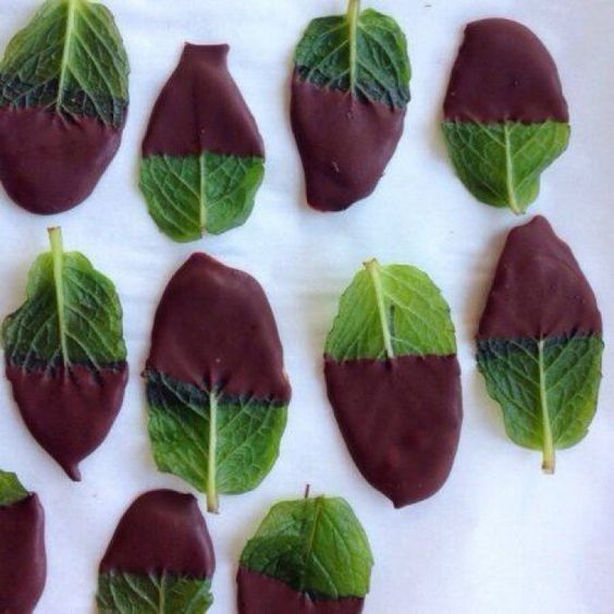 Chocolate mint leaves