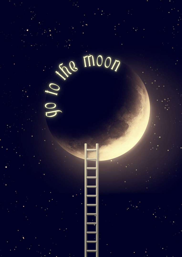 go to the moon plz