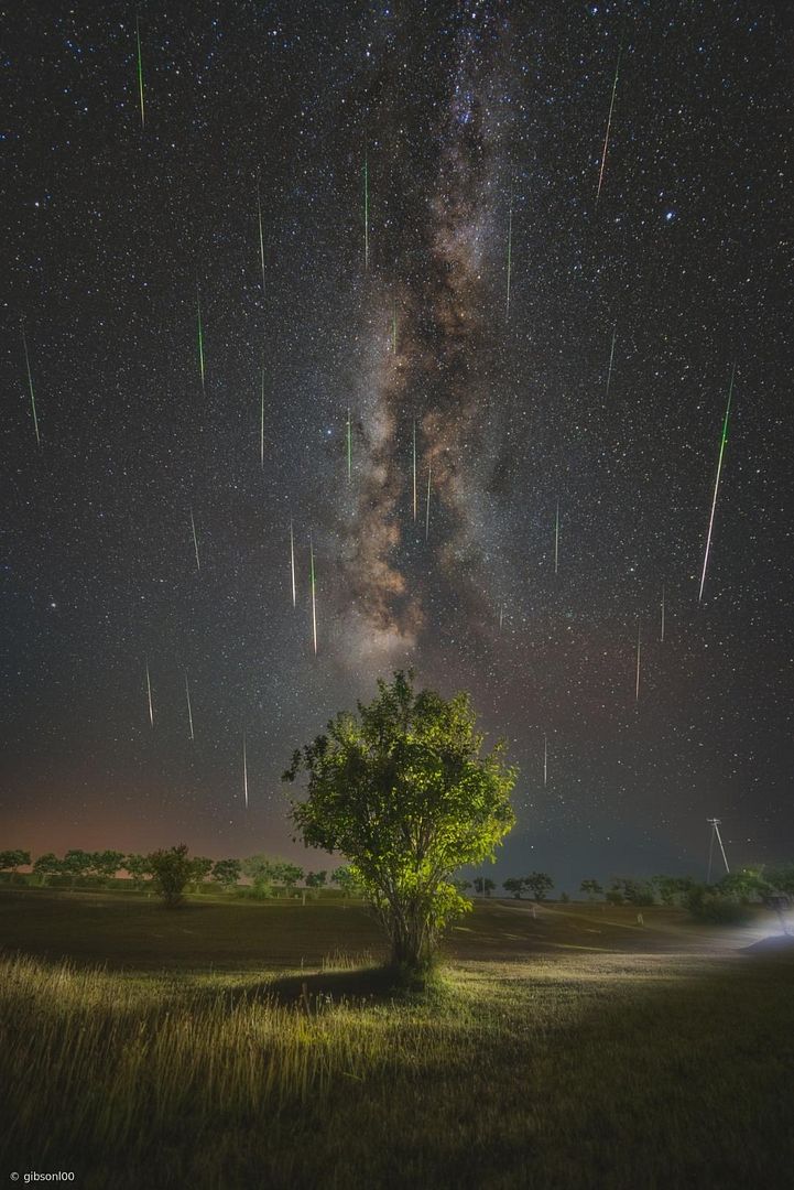 Perseids meteor shower