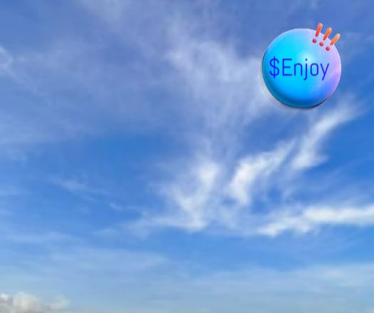 $Enjoy SKY