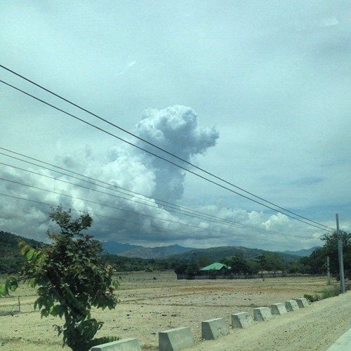 dog in the clouds