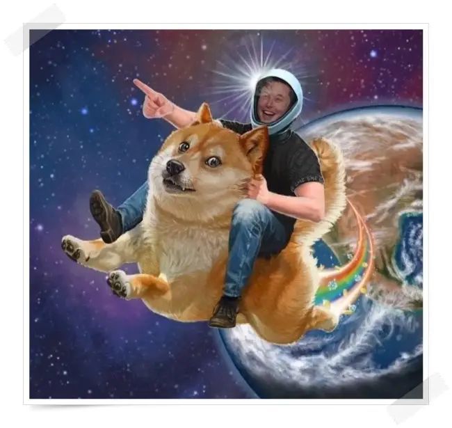 Elon Musk with doge