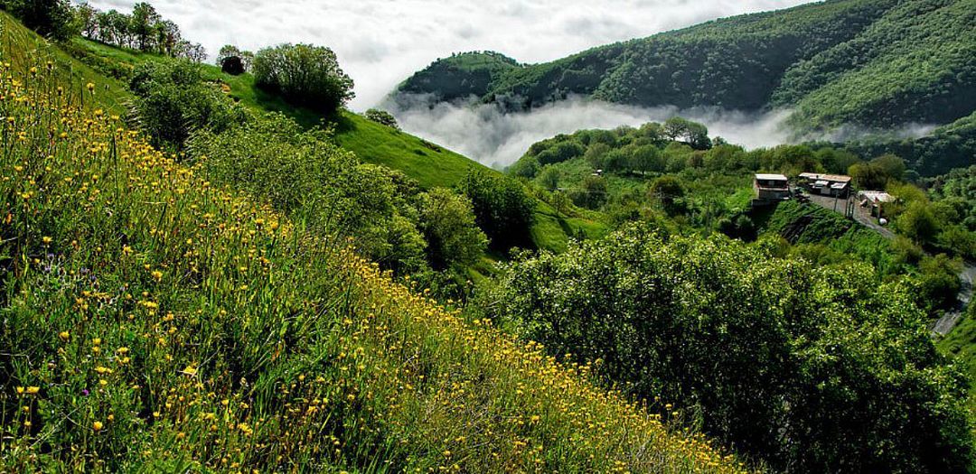 Sardasht