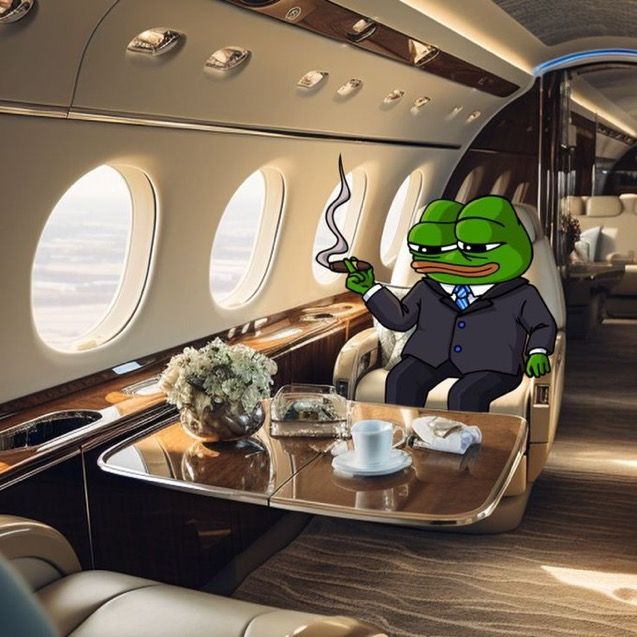 Private Plane Pepe