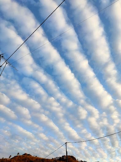 Looking up at the morning sky