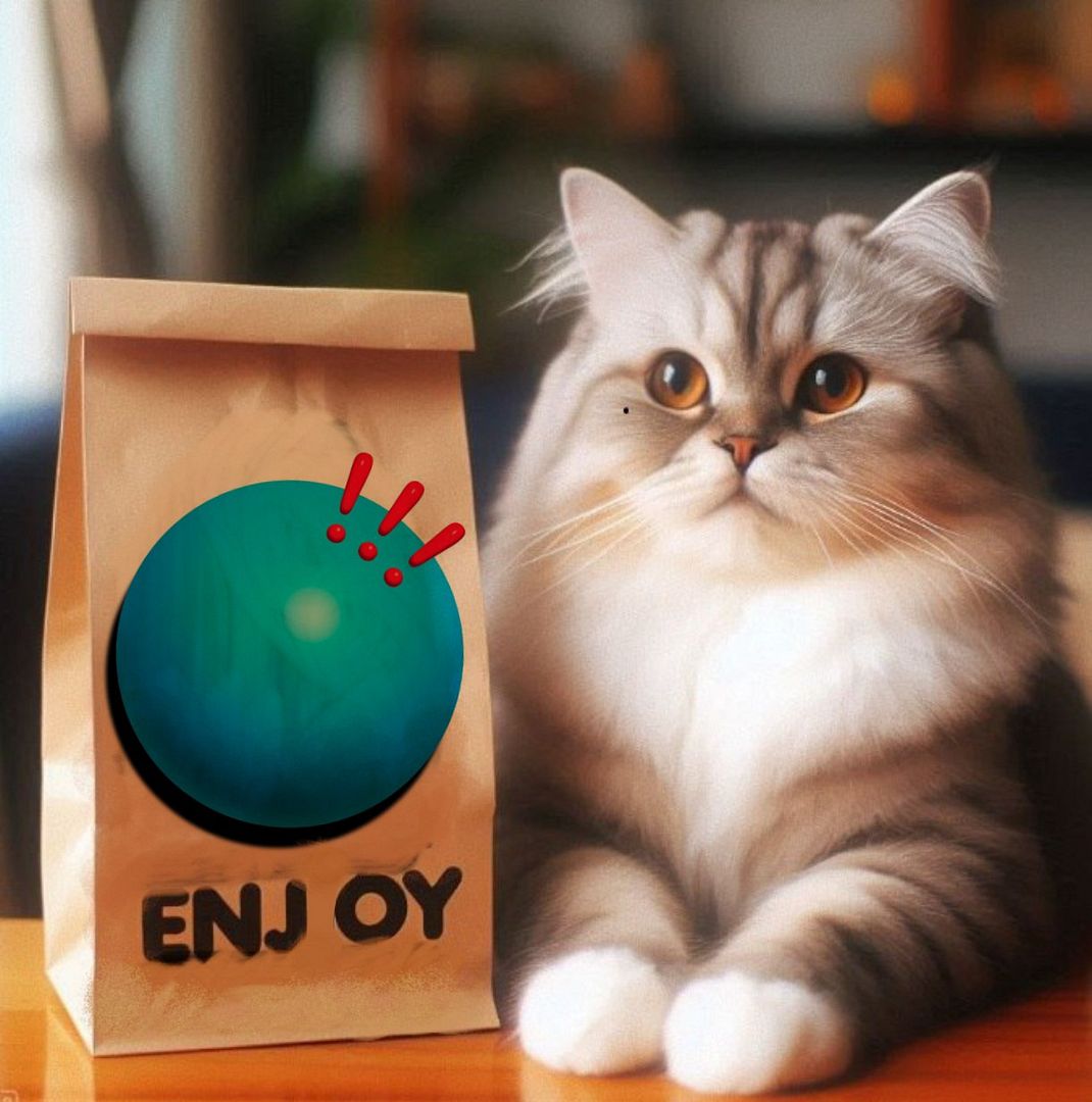 enjoy cat