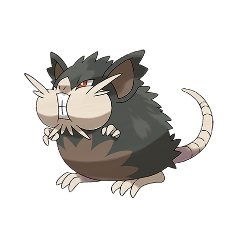 Alolan form raticate