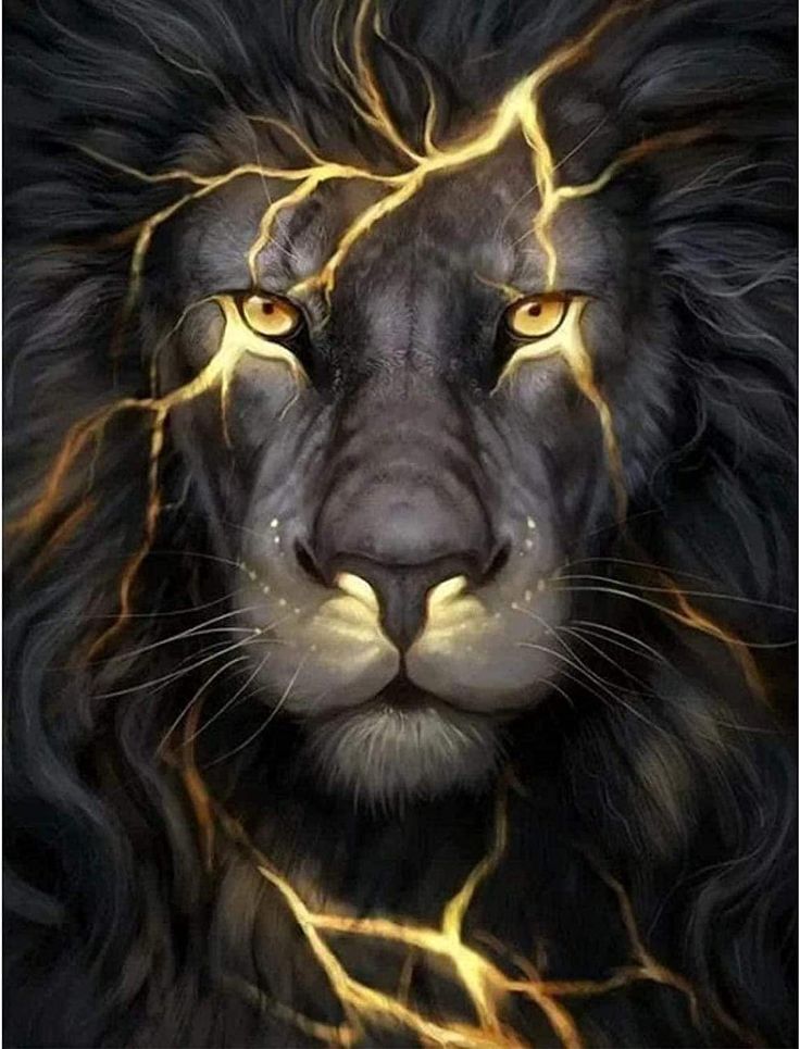 lion