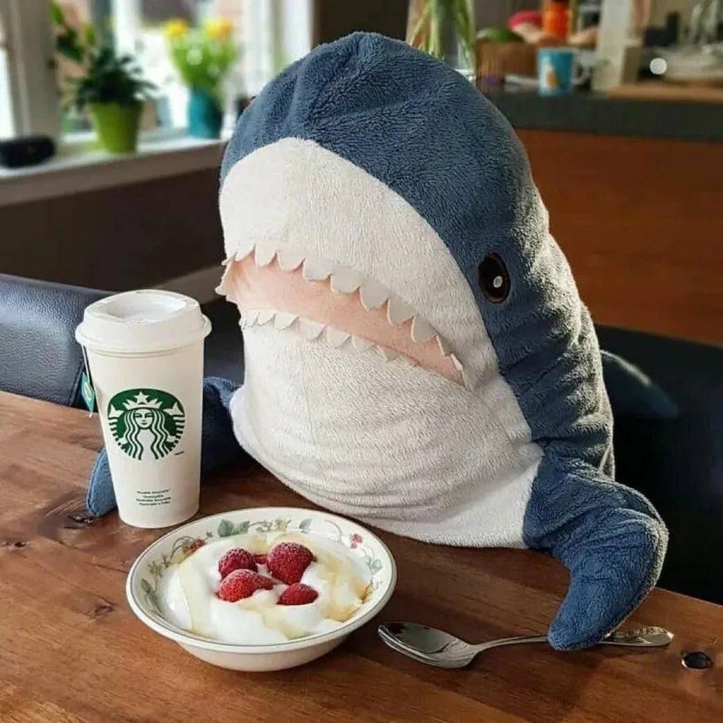 im shark