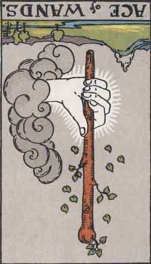 Ace of Wands