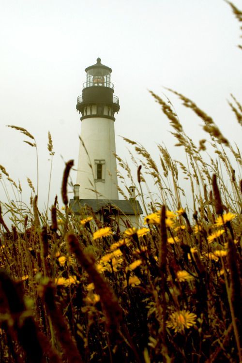 spring lighthouse