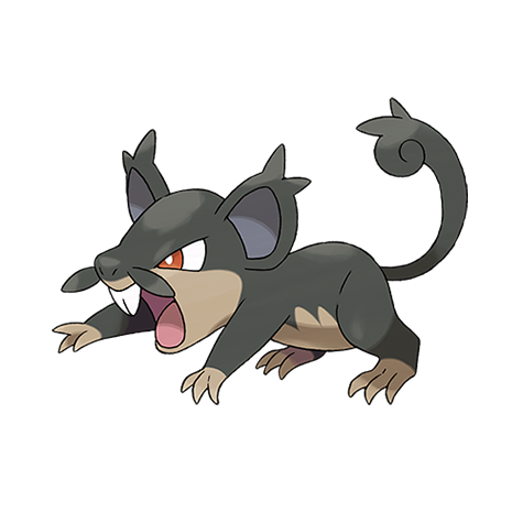 Alolan Form Rattata