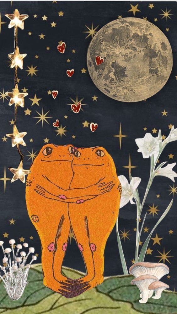 frogs in love