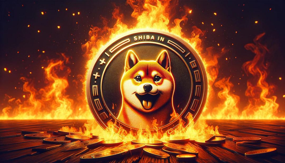 shiba_inu_burn_ab1fc5c7d6